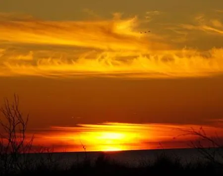 Ferienhaeuser Reethaus Am Deich *